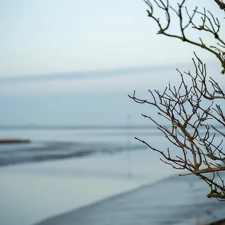 Ferienhaus Urlaub An Der Nordsee - Neu - Deichliebe