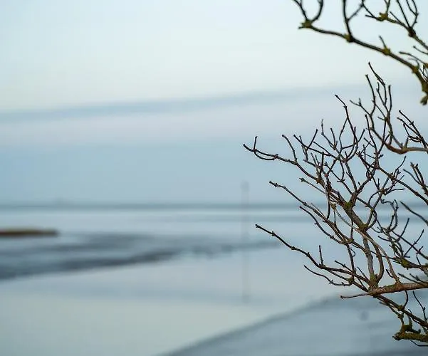 Σπίτι διακοπών Urlaub An Der Nordsee - Neu - Deichliebe